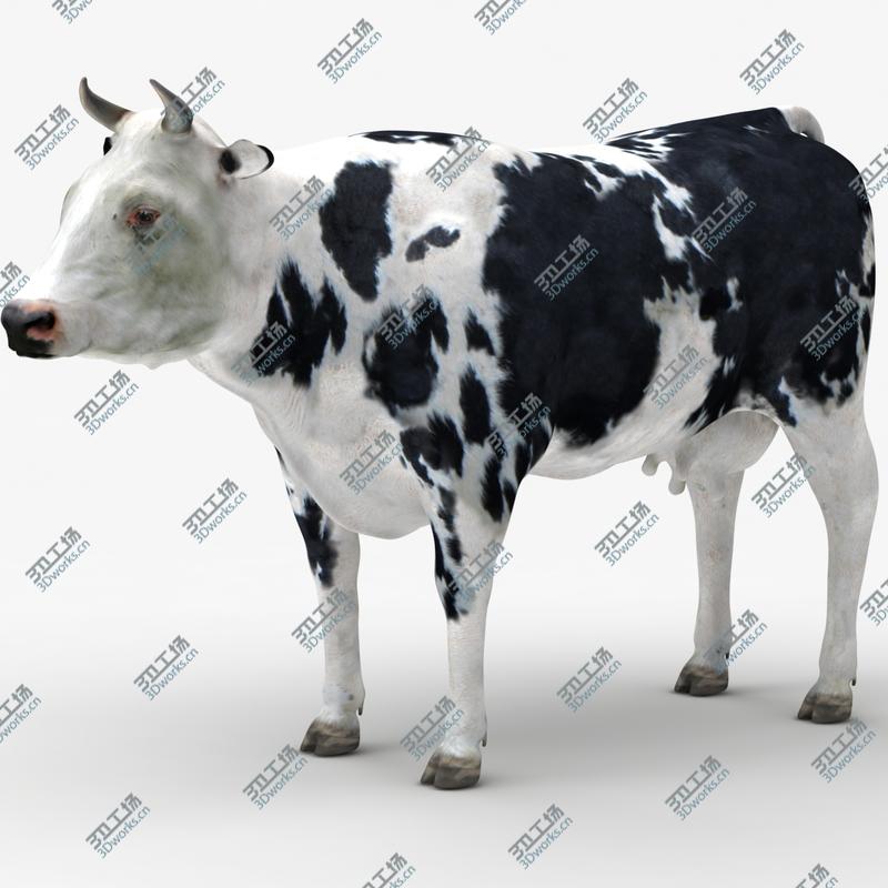 images/goods_img/202105074/Cow Collection/4.jpg